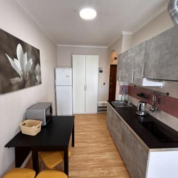 Сдается 1-комнатная квартира, 24 м²