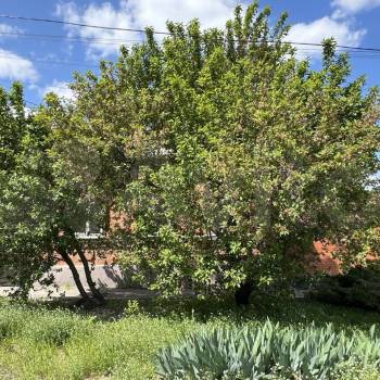 Продается Дом, 77 м²