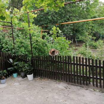 Продается Дом, 178 м²