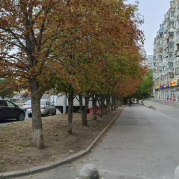 Сдается Нежилое помещение, 181 м²