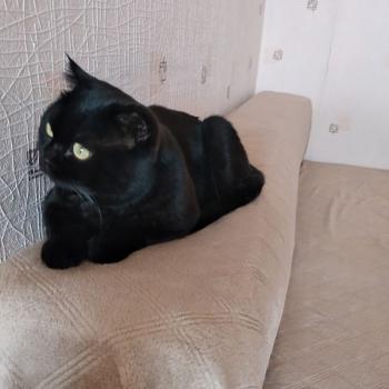 Продается 1-комнатная квартира, 42 м²