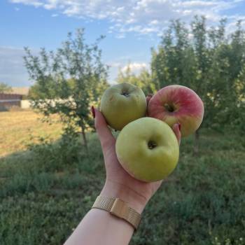 Продается Дом, 72 м²