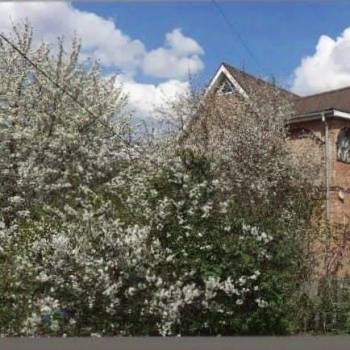 Продается Участок, 1200 м²