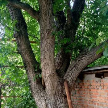 Продается Участок, 690 м²