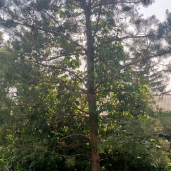 Продается Участок, 690 м²