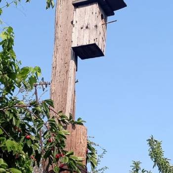 Продается Участок, 690 м²