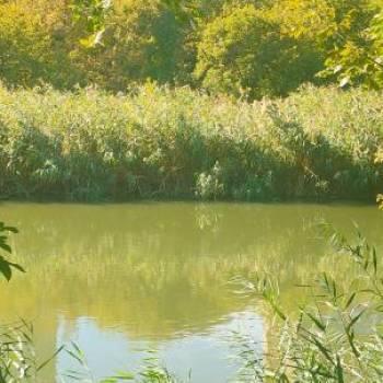 Продается 1-комнатная квартира, 30 м²