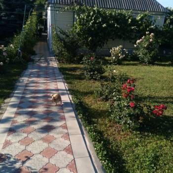 Продается Дом, 64,8 м²