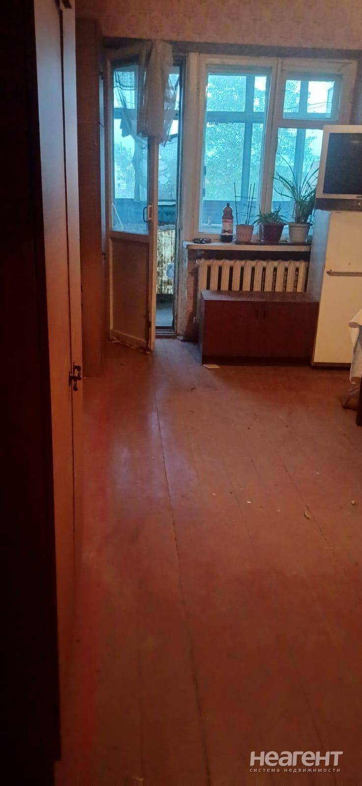 Фотография №3