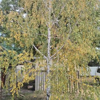 Продается Участок, 2170 м²