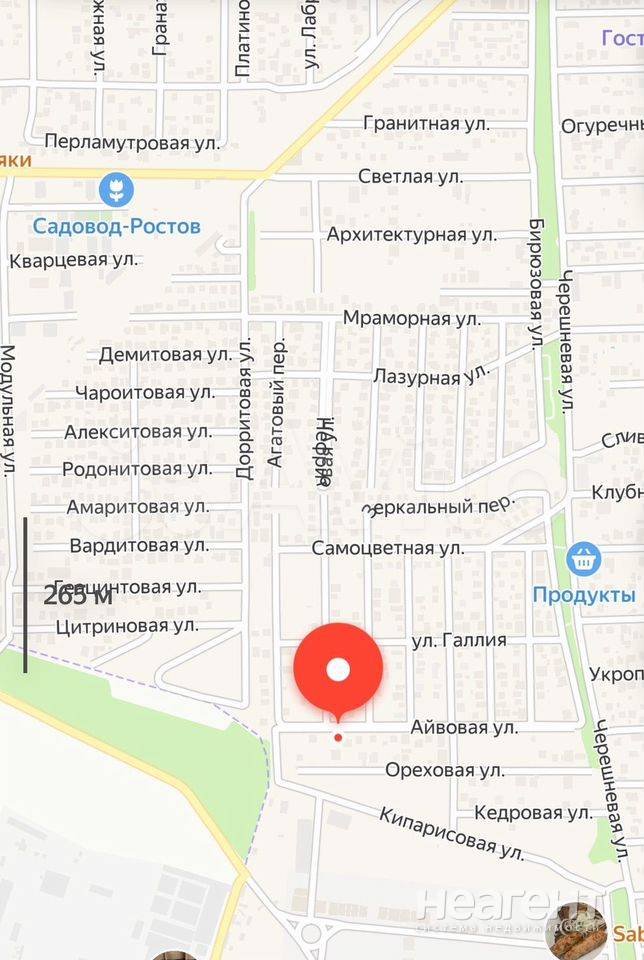 Фотография №2