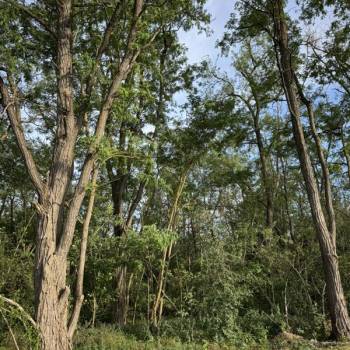 Продается Участок, 500 м²