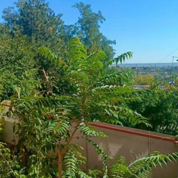 Продается 1-комнатная квартира, 22 м²