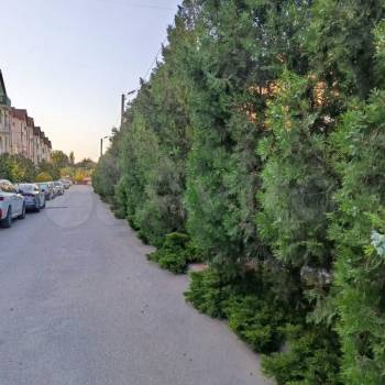 Продается 1-комнатная квартира, 36 м²