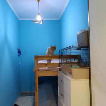 Продается 3-х комнатная квартира, 52 м²