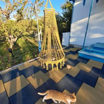 Продается Участок, 900 м²