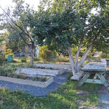 Продается Участок, 900 м²