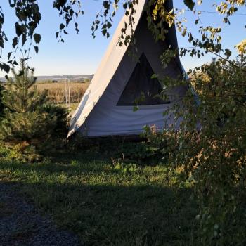 Продается Участок, 900 м²