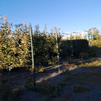 Продается Участок, 900 м²