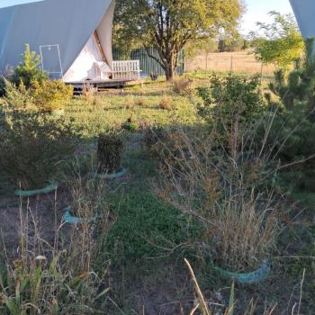 Продается Участок, 900 м²