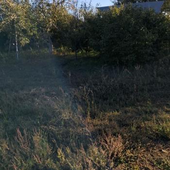 Продается Участок, 900 м²