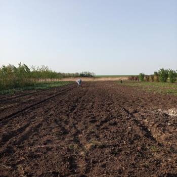 Продается Дом, 88 м²