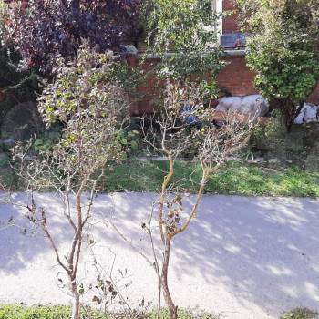 Сдается Дом, 55 м²