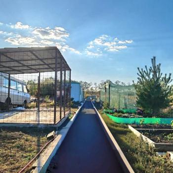 Продается Дом, 55 м²