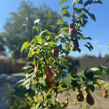 Продается Дом, 82 м²