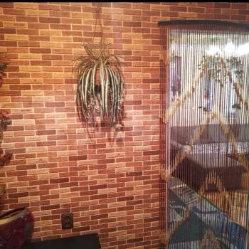 Продается 1-комнатная квартира, 26 м²