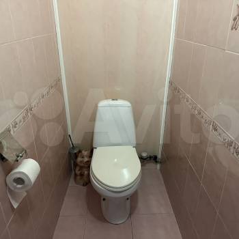 Сдается Многокомнатная квартира, 63 м²