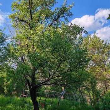 Продается Дом, 105 м²