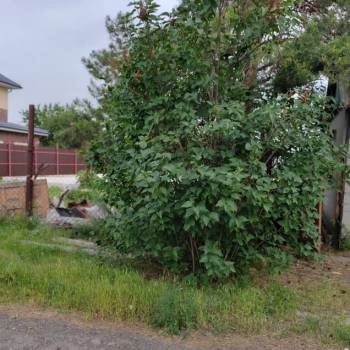 Продается Участок, 1200 м²