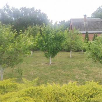 Продается Участок, 600 м²