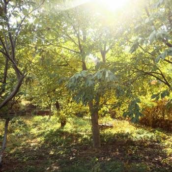 Продается Участок, 780 м²