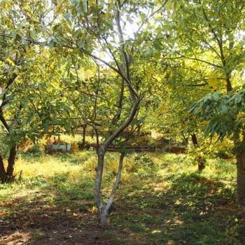 Продается Участок, 780 м²