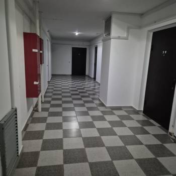 Сдается 2-х комнатная квартира, 51 м²
