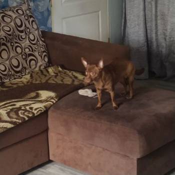 Продается 3-х комнатная квартира, 44 м²