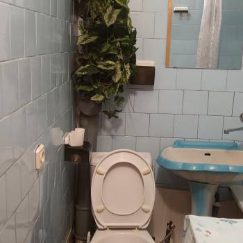 Сдается 2-х комнатная квартира, 40 м²