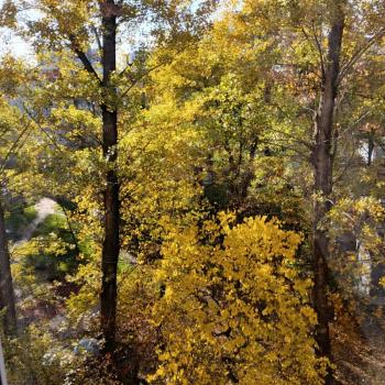 Продается 3-х комнатная квартира, 59,2 м²