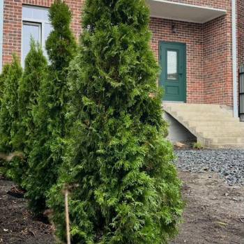 Продается Дом, 160 м²