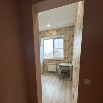 Сдается 1-комнатная квартира, 30,2 м²