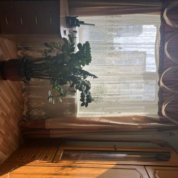 Продается 2-х комнатная квартира, 56,4 м²