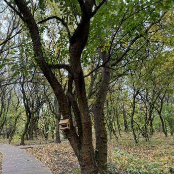 Продается 1-комнатная квартира, 51 м²