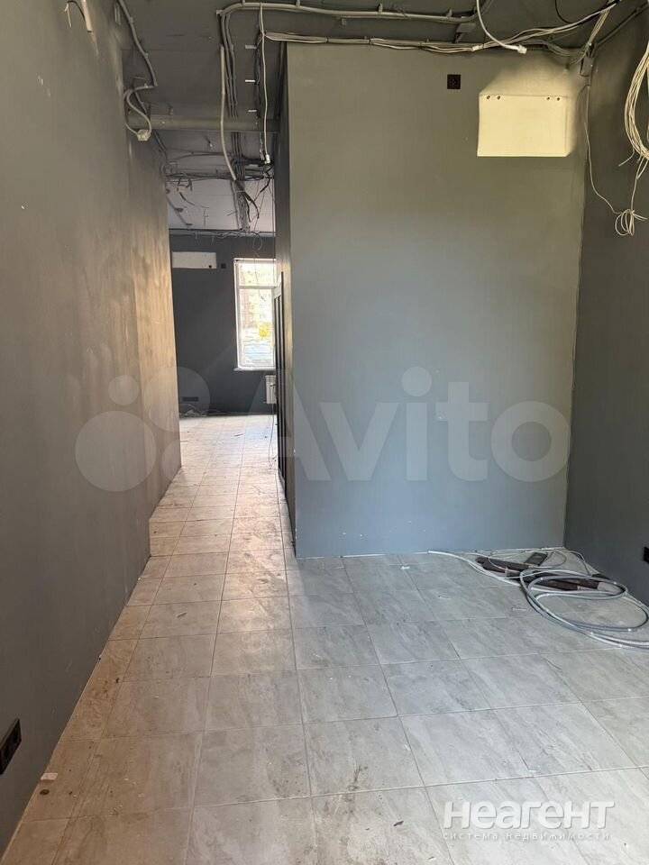 Фотография №3