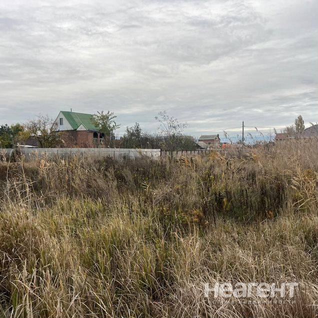 Фотография №4