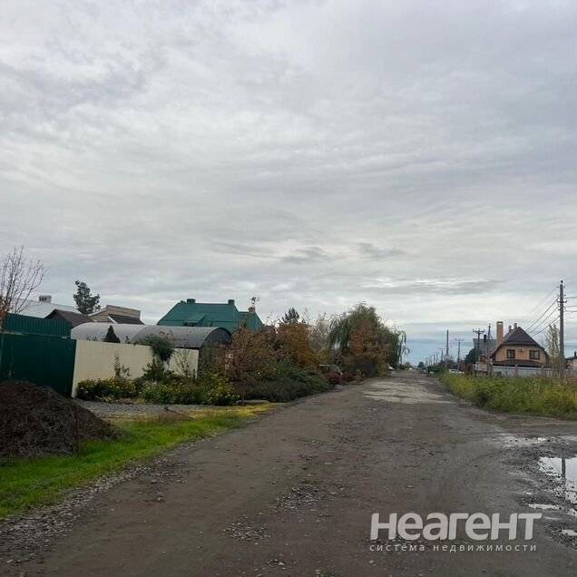 Фотография №5