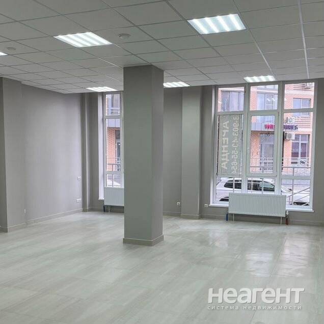 Фотография №3