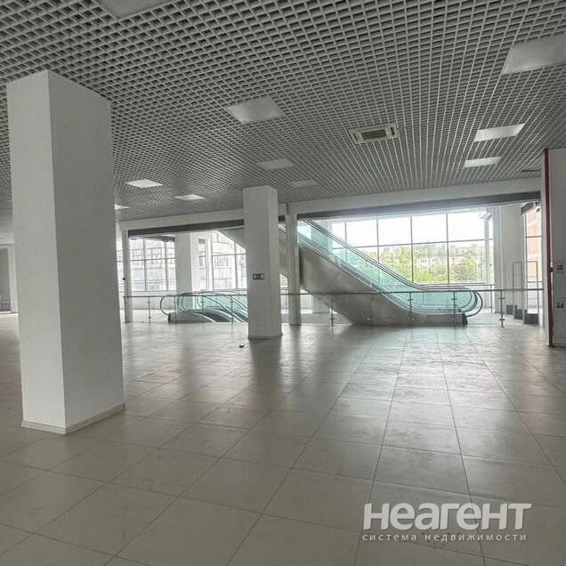 Фотография №3