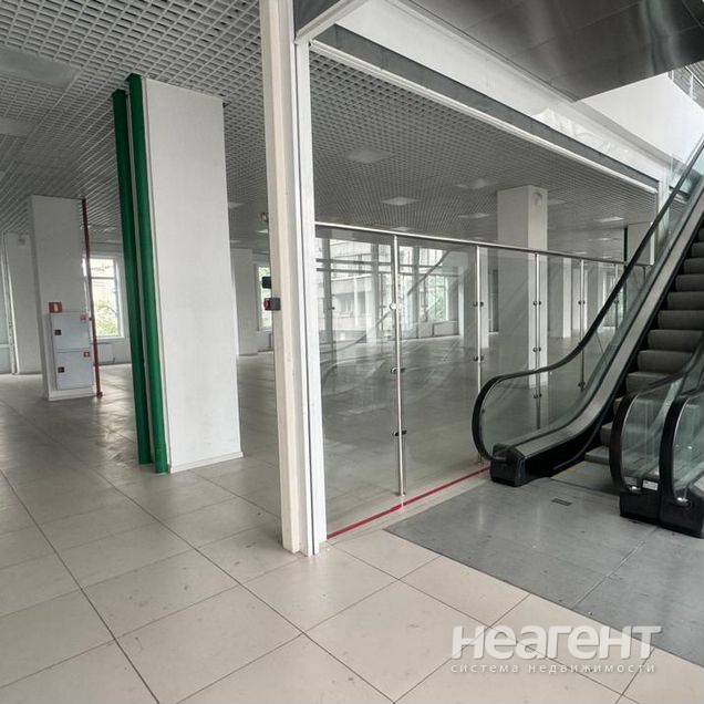 Фотография №4